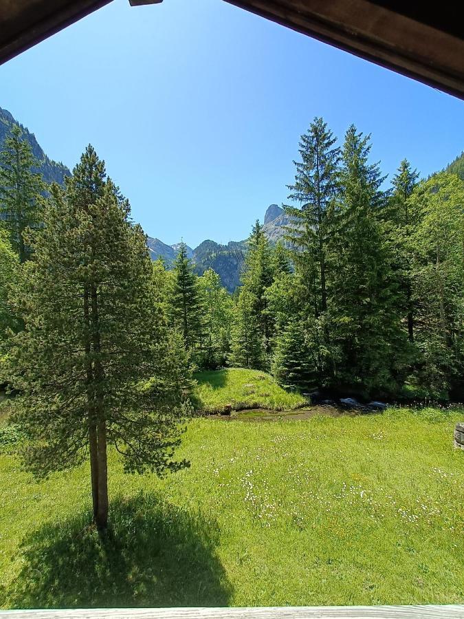 Appartement Filfalle Kandersteg